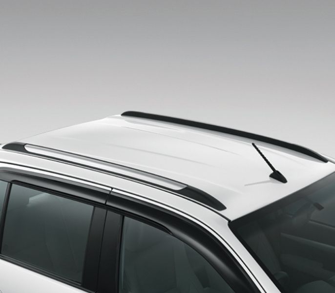 Ốp trang trí nóc xe (2 chiếc/ Bộ)